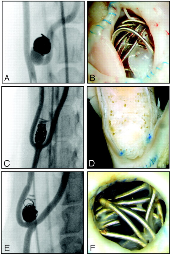 Fig 2.