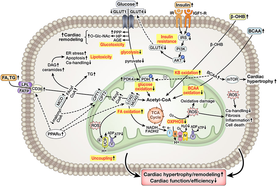 Figure 3: