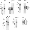 FIG. 5