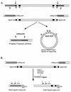 FIG. 1