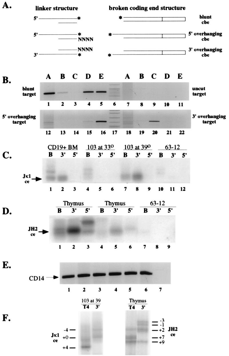 FIG. 7