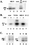 FIG. 6