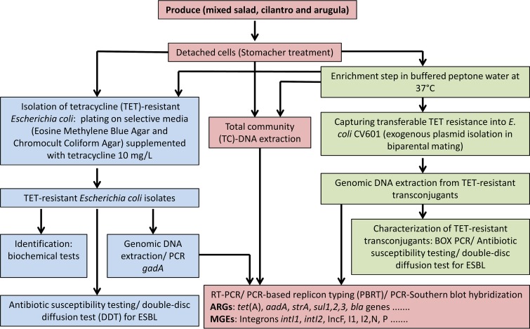 FIG 1