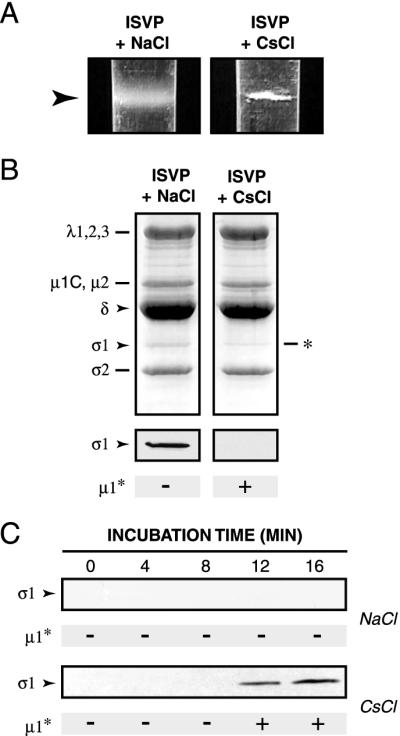 FIG. 8.