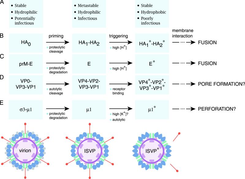 FIG. 10.