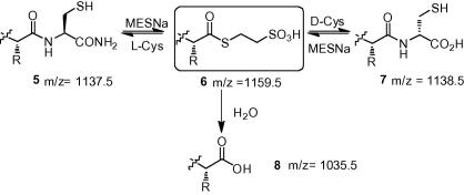 Scheme 3