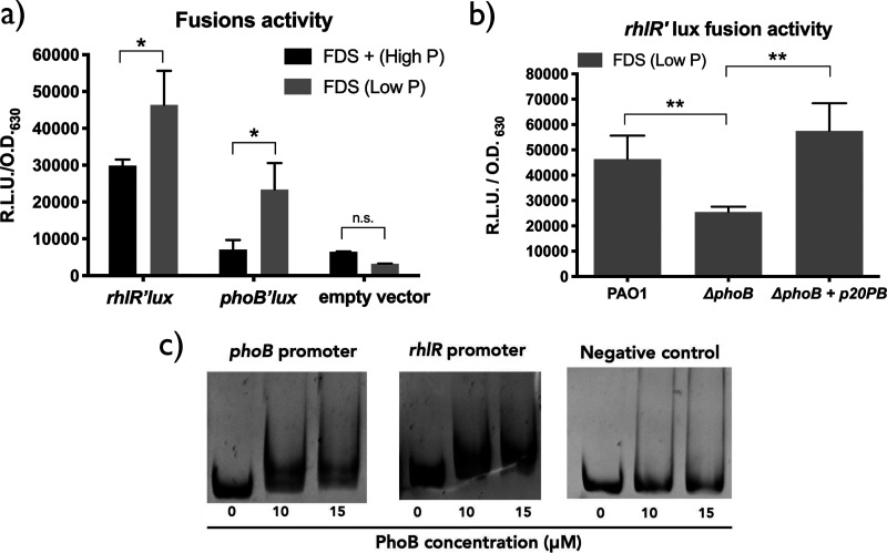 FIG 1