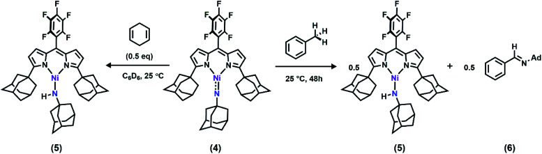 Scheme 2