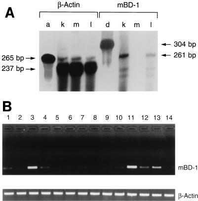 FIG. 5