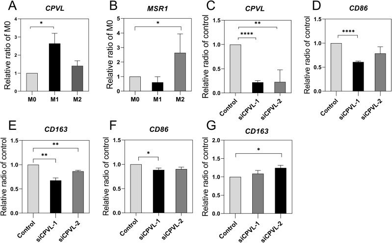 Figure 6