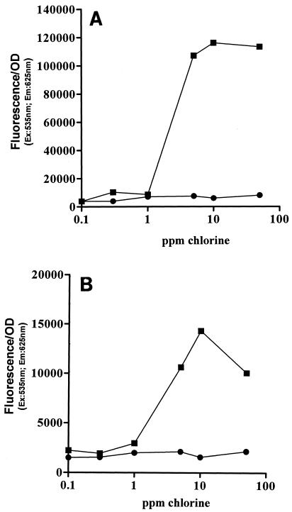 FIG. 5.