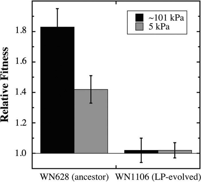 FIG 3