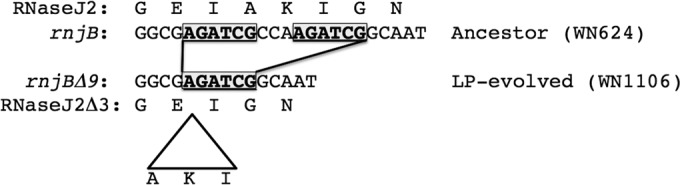 FIG 1