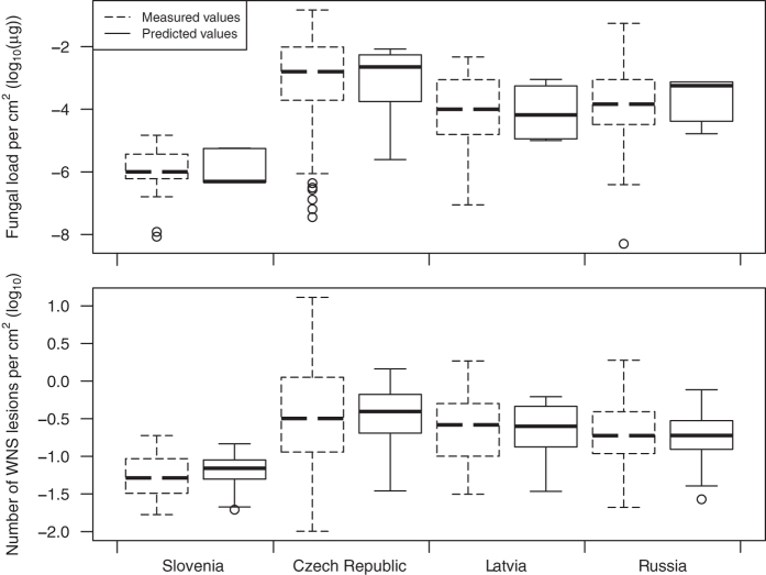 Figure 4