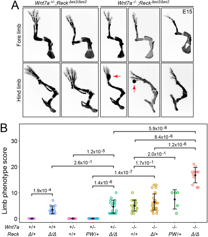 Fig. 3.