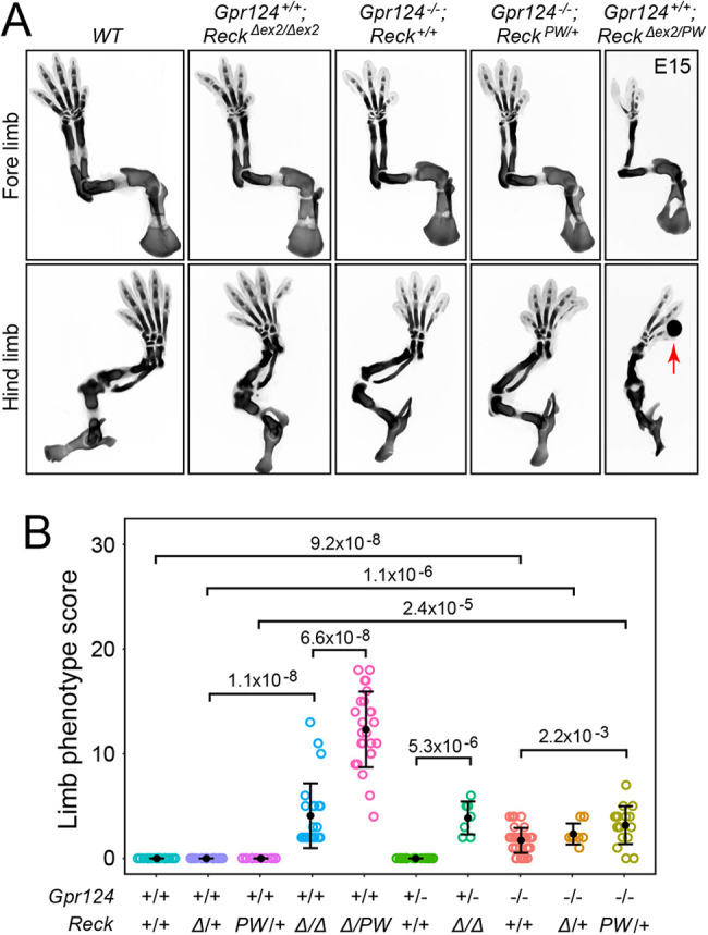 Fig. 4.