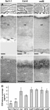 Fig 5