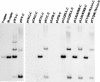 FIG. 5.