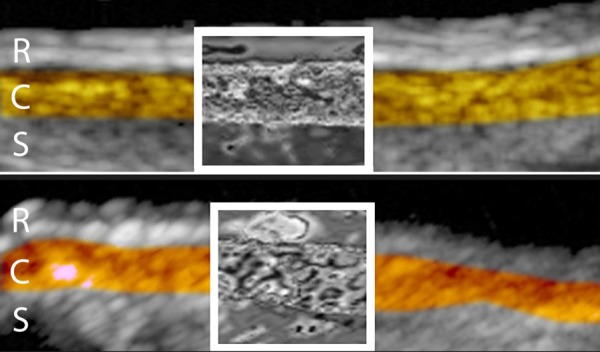 Figure 3