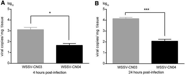 Figure 4