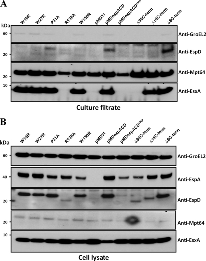 Fig 5