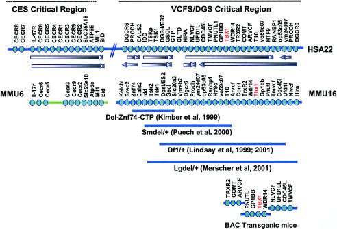 Figure  3