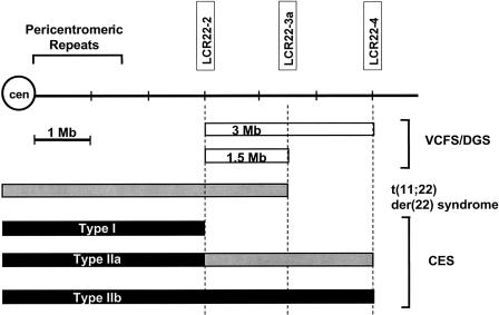 Figure  2