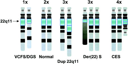 Figure  1