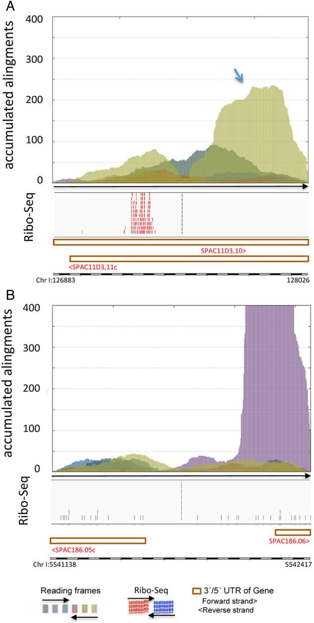 Figure 6.