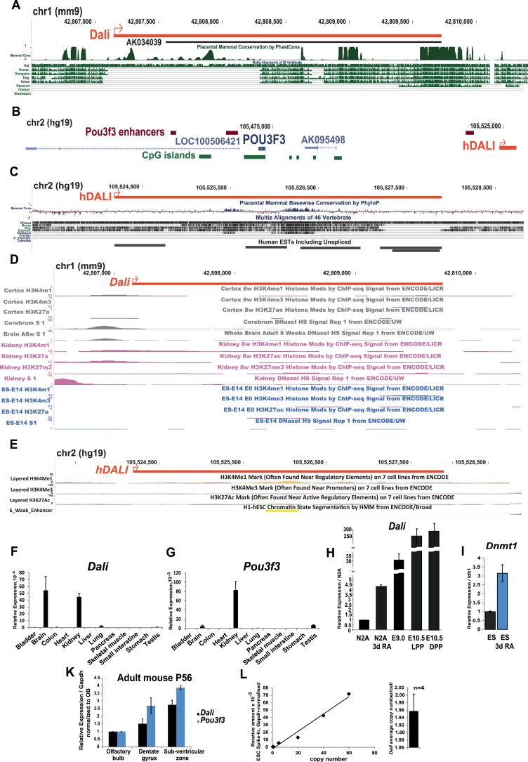 Figure 1—figure supplement 1.