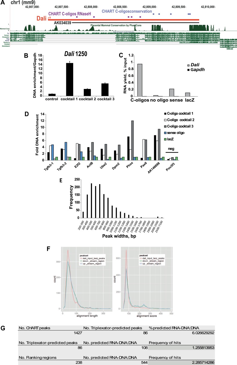 Figure 5—figure supplement 1.