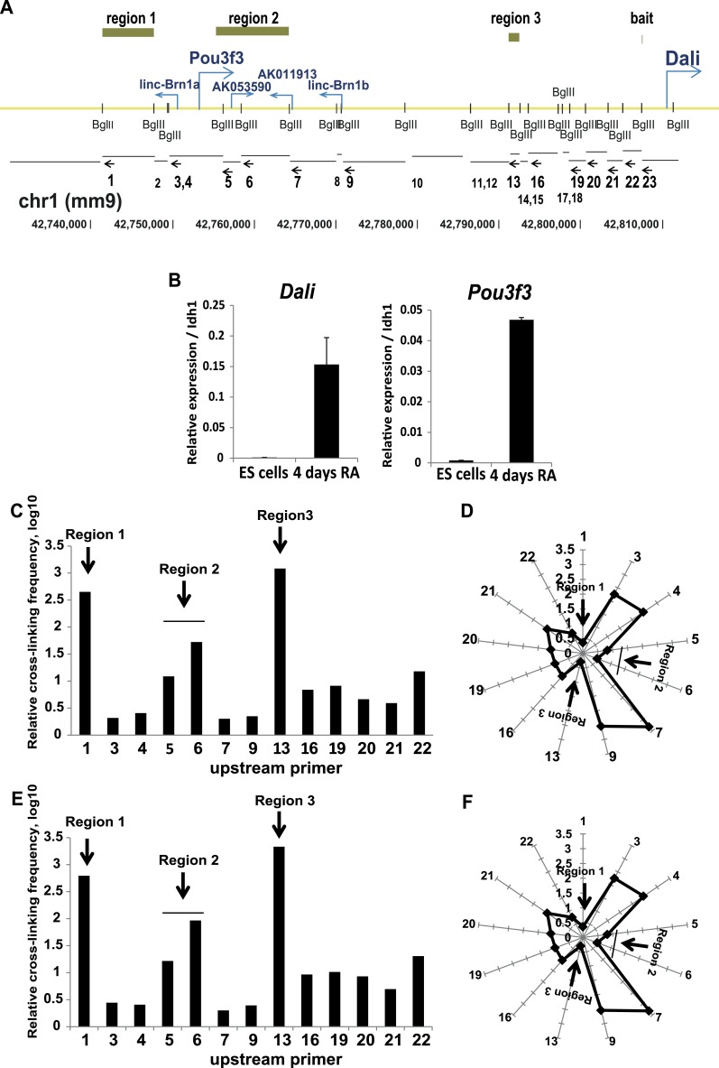 Figure 1—figure supplement 2.