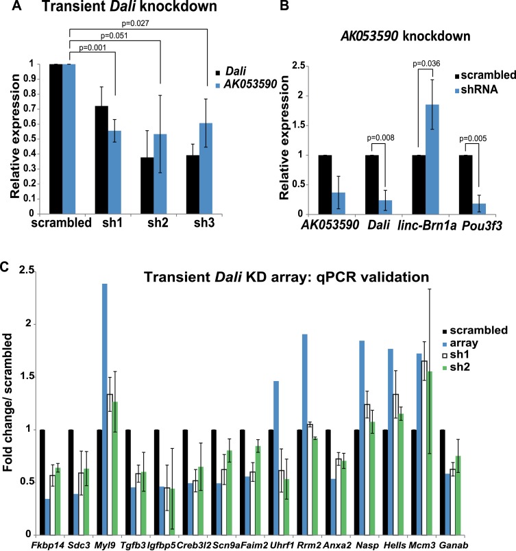 Figure 2—figure supplement 1.