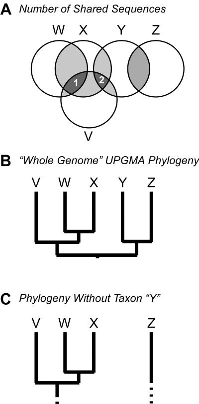 FIG. 5.