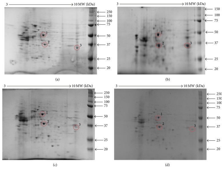 Figure 10