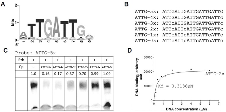 Fig. 6