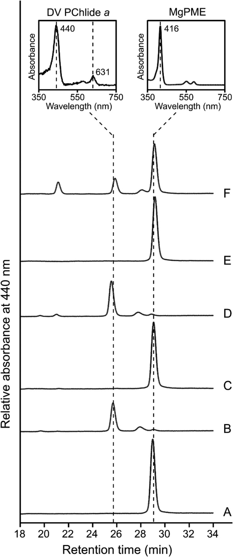 Figure 4.