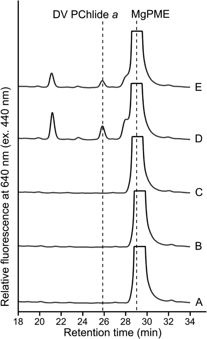 Figure 7.