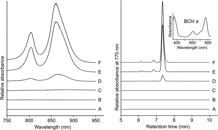 Figure 3.