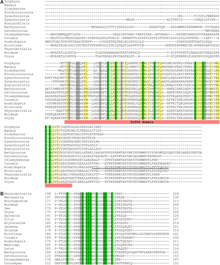 Figure 6.