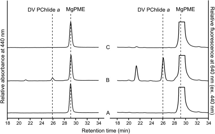 Figure 5.