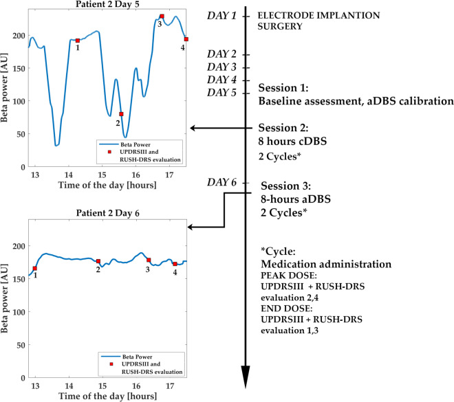 Fig. 2