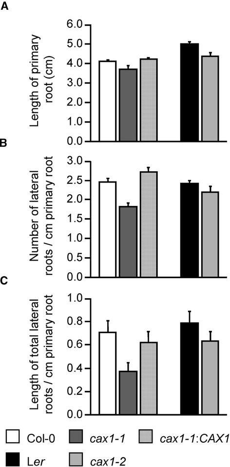 Figure 7.