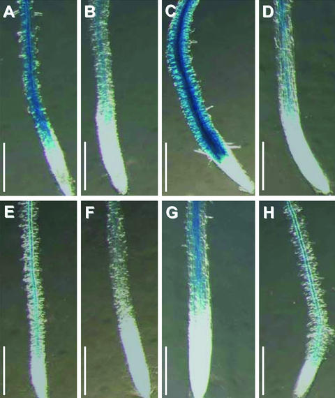 Figure 10.