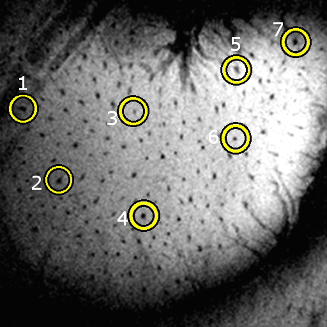 Fig. 7