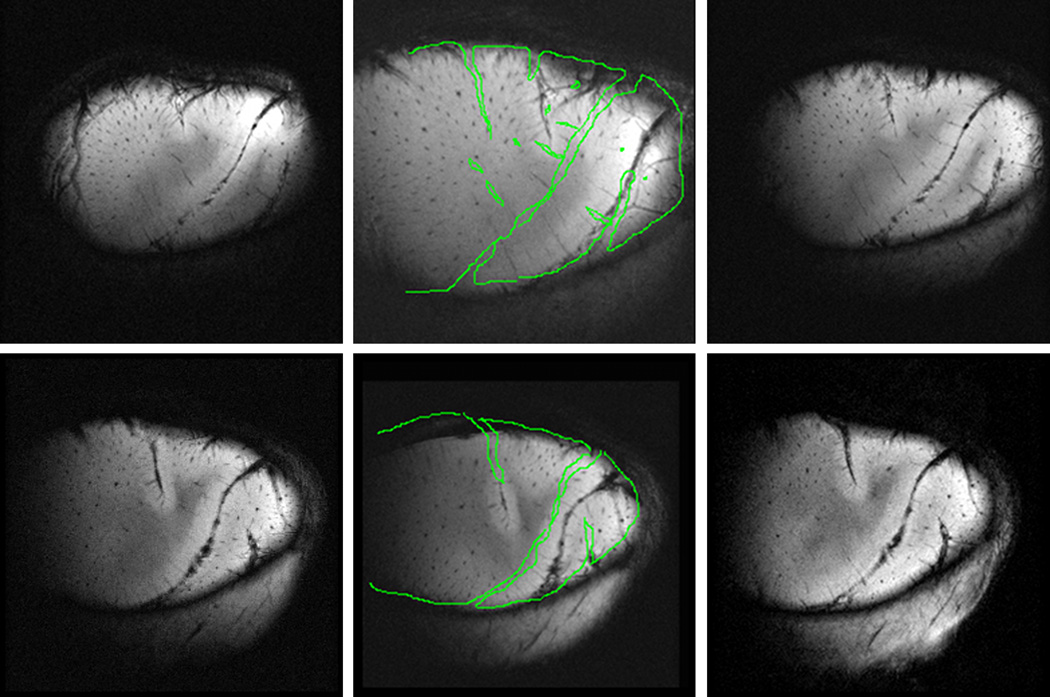 Fig. 8