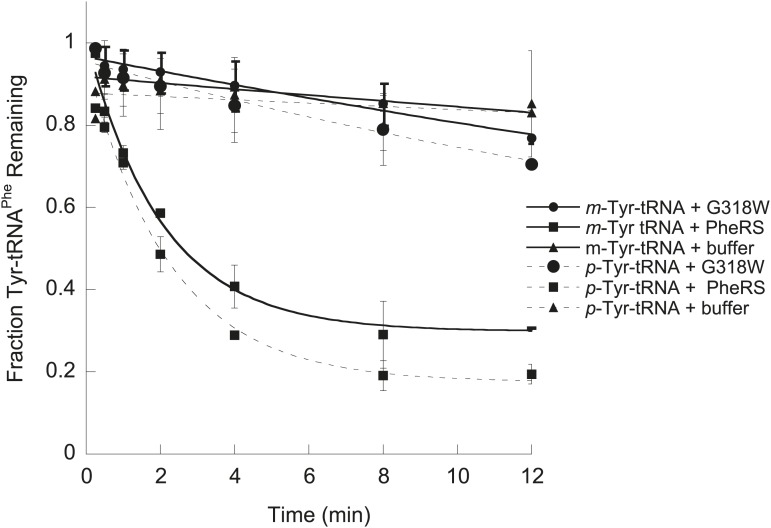 Figure 2—figure supplement 1.