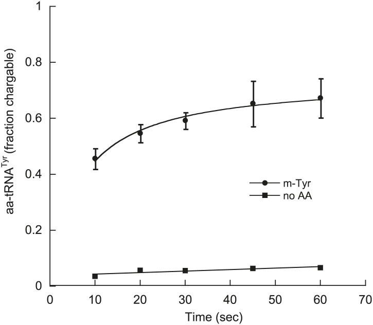 Figure 6—figure supplement 2.