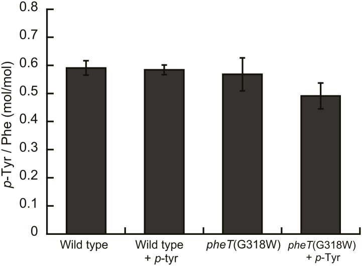 Figure 6—figure supplement 1.