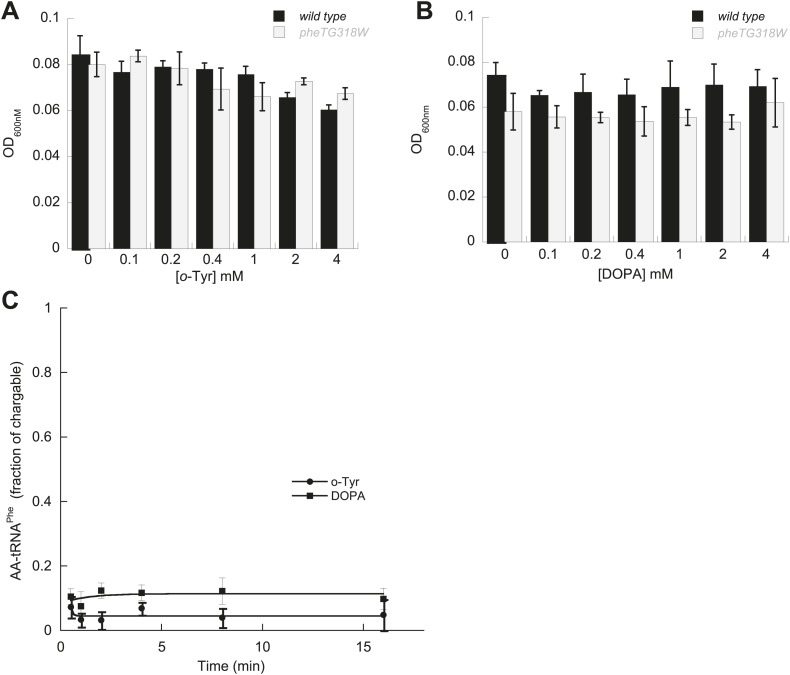 Figure 2—figure supplement 2.